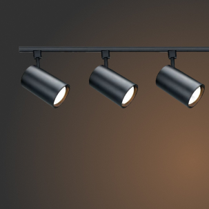 Трековые системы